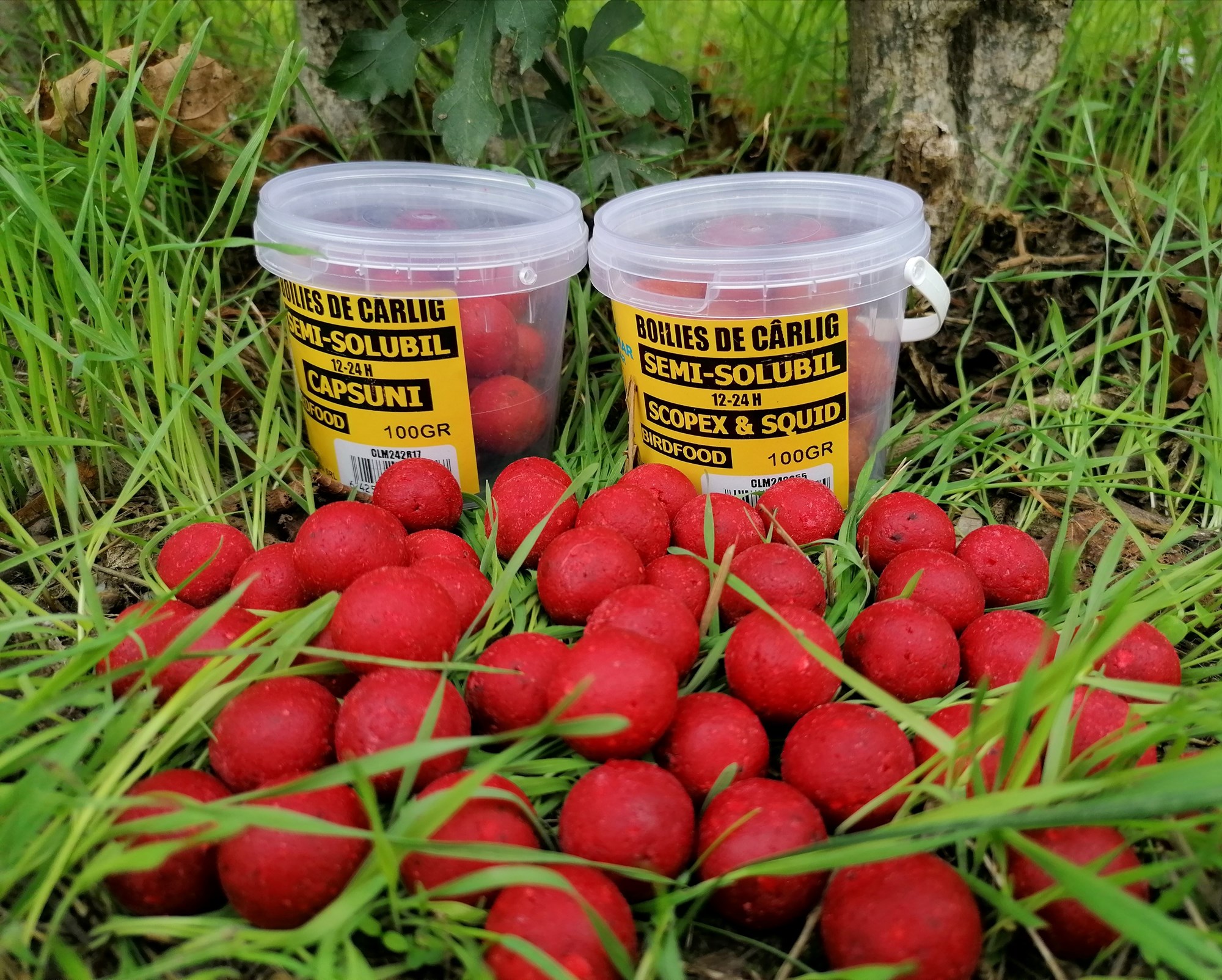 Hermes Peris 24 - 27 septembrie 2020 - IMG20201013144627.jpg